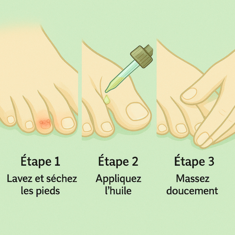 Pologie